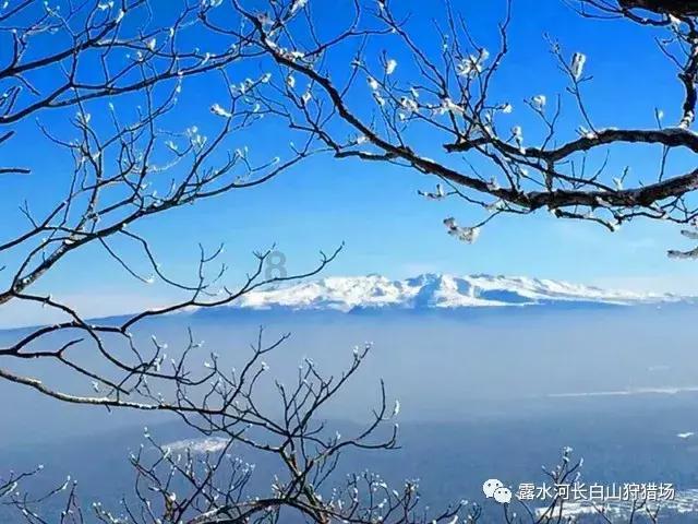 照顾可爱小公主