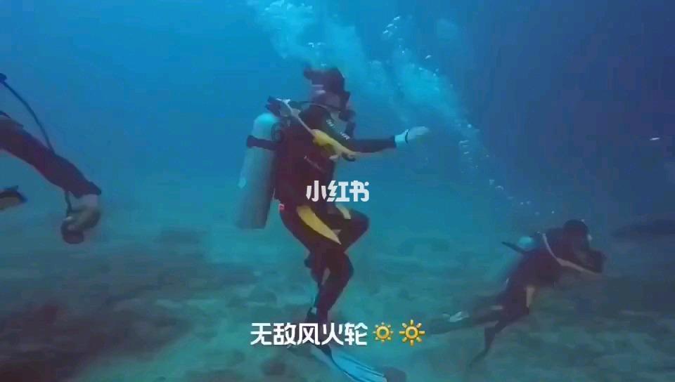 救援萌老虎