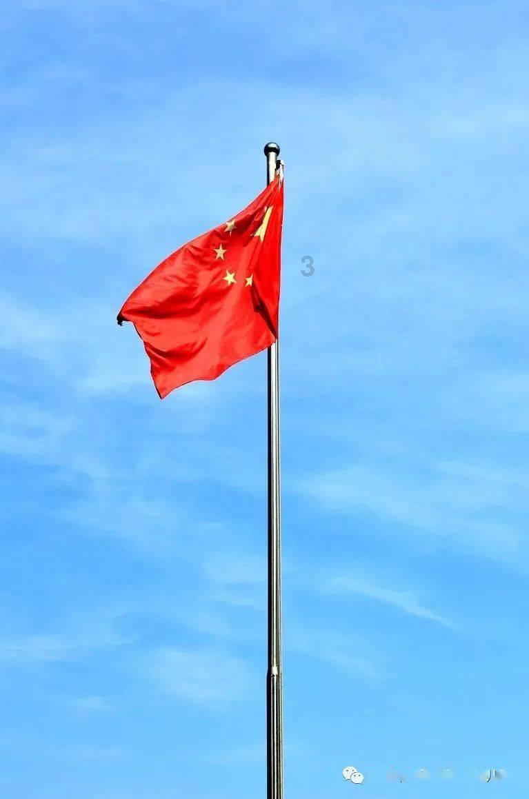 上海游客逛沈阳早市被“骗”，市场管理员霸气撑腰：全部收走